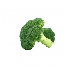 Floral Print Buttoned