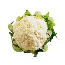 Floral Print Buttoned